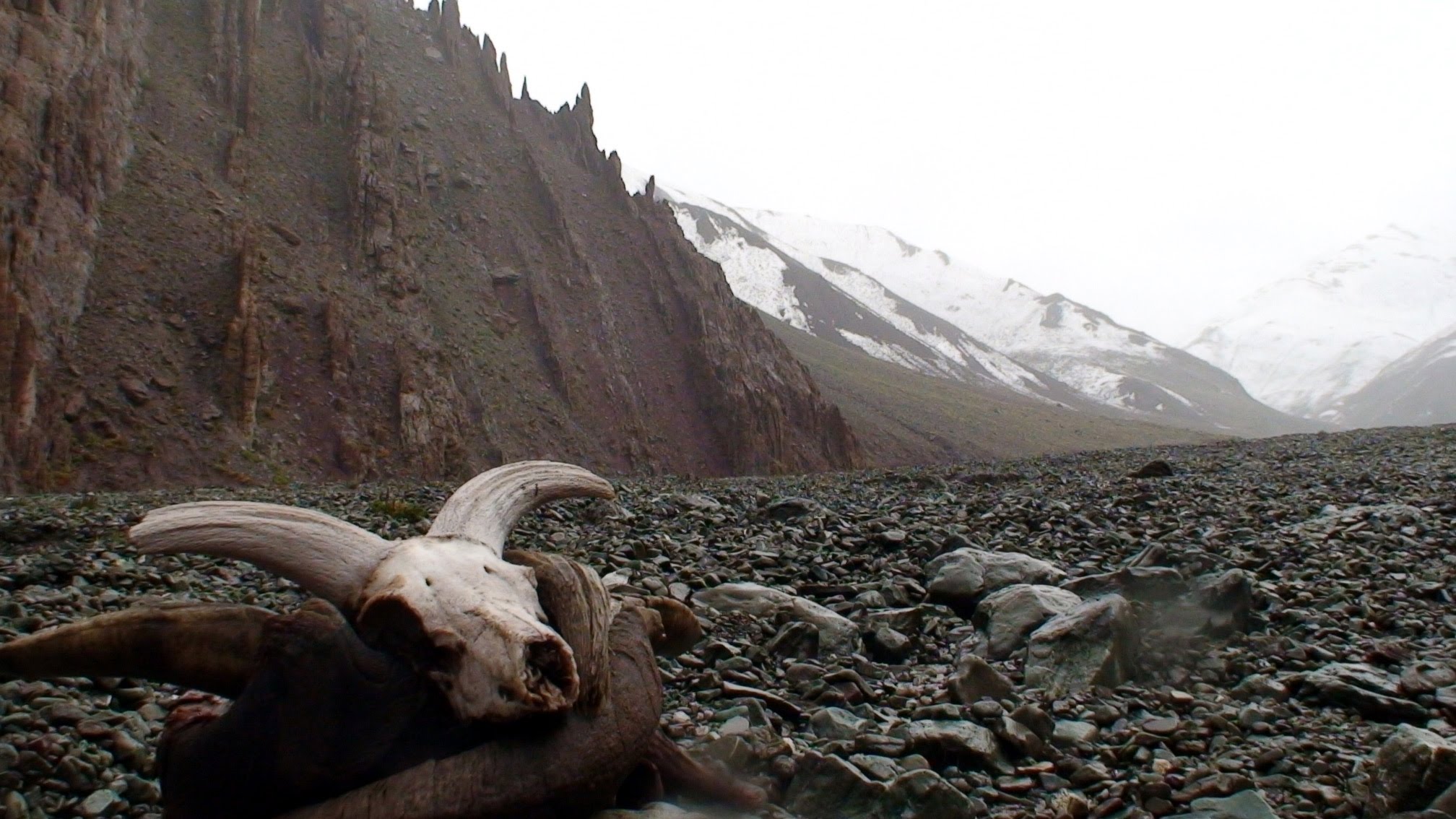 Solo Summit of Stok Kangri, India Episode 66