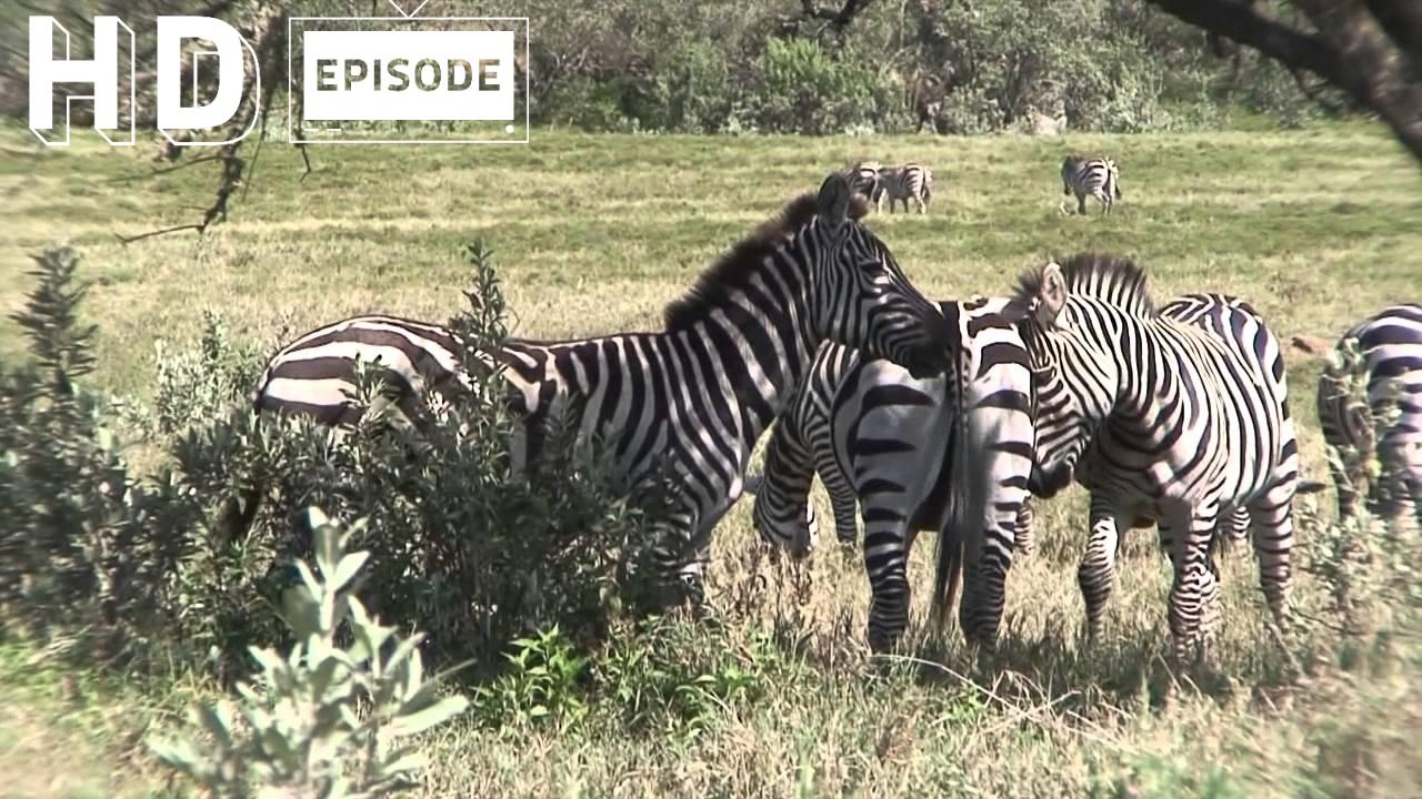 Kenya, Cycling to Hell's Gate, Episode 85