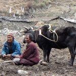 Manaslu Trek