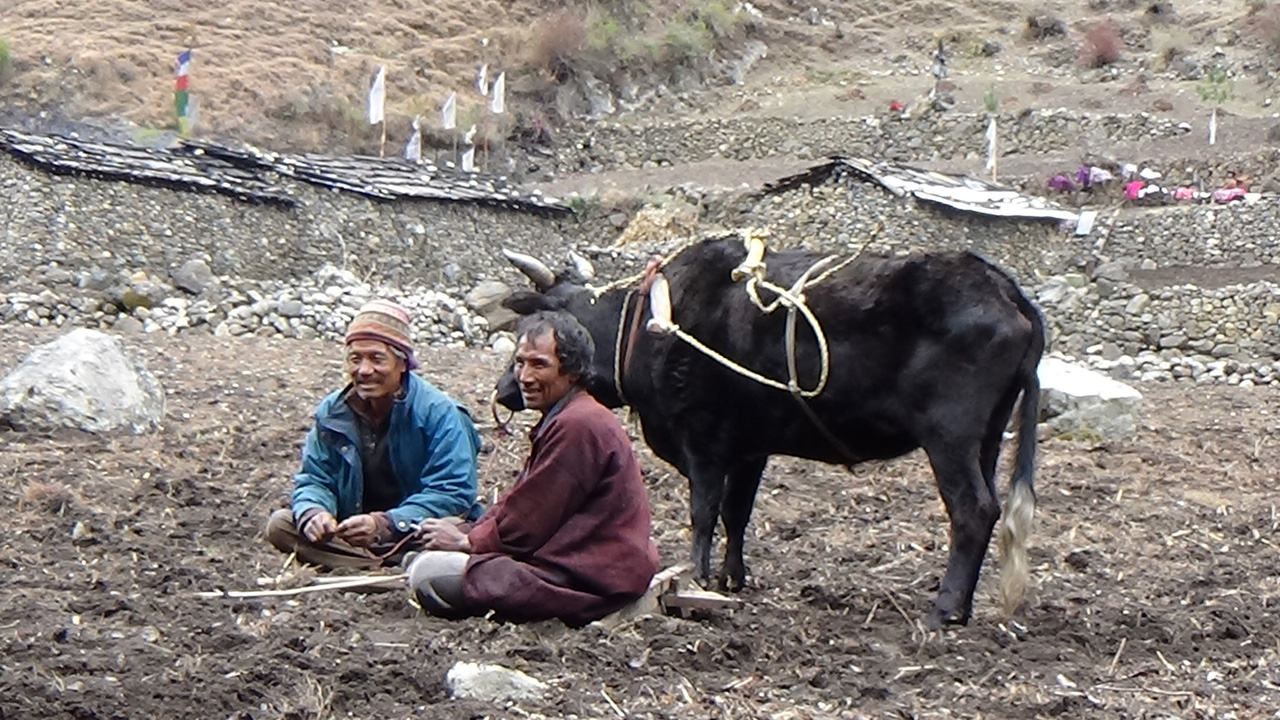 Manaslu Trek